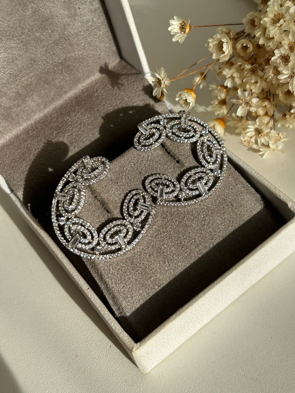 Brinco Argola Frontal Circulos Rodio Branco